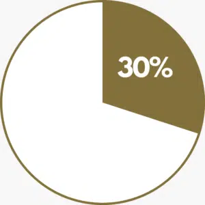 Pie chart showing 30% in gold and the rest of the circle is white