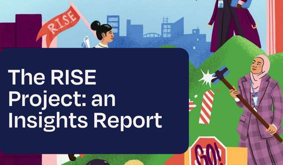 Website Thumbnail RISE Insights Report